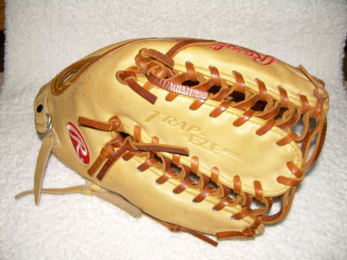 rawlings gold glove trapeze